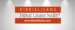 Dijital Lisans Nedir?