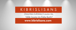 Ömürlük (Lifetime) Lisans mı, Yıllık Lisans mı Daha Karlı?
