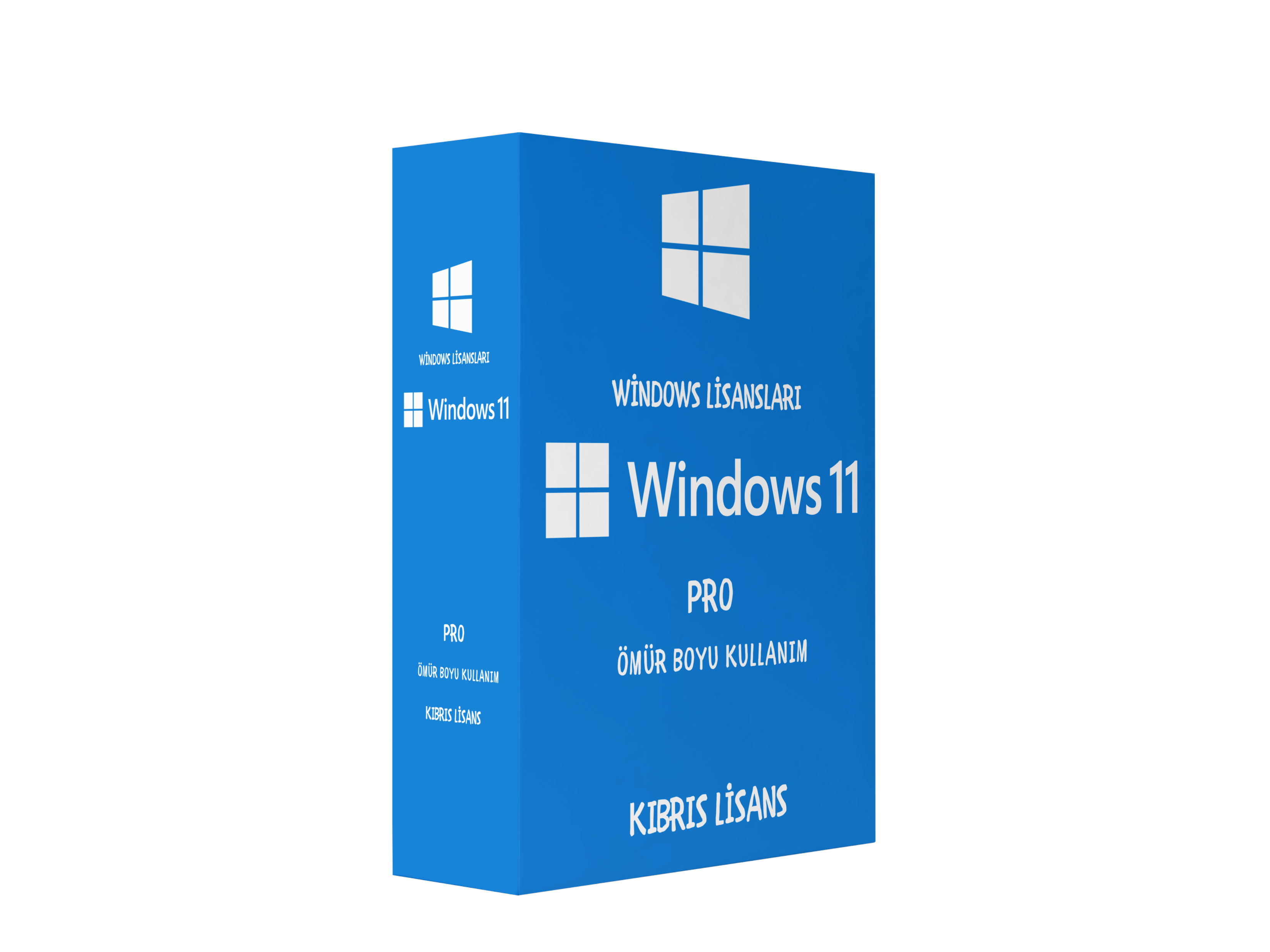Windows 11 Pro Ömür Boyu Lisans / Online