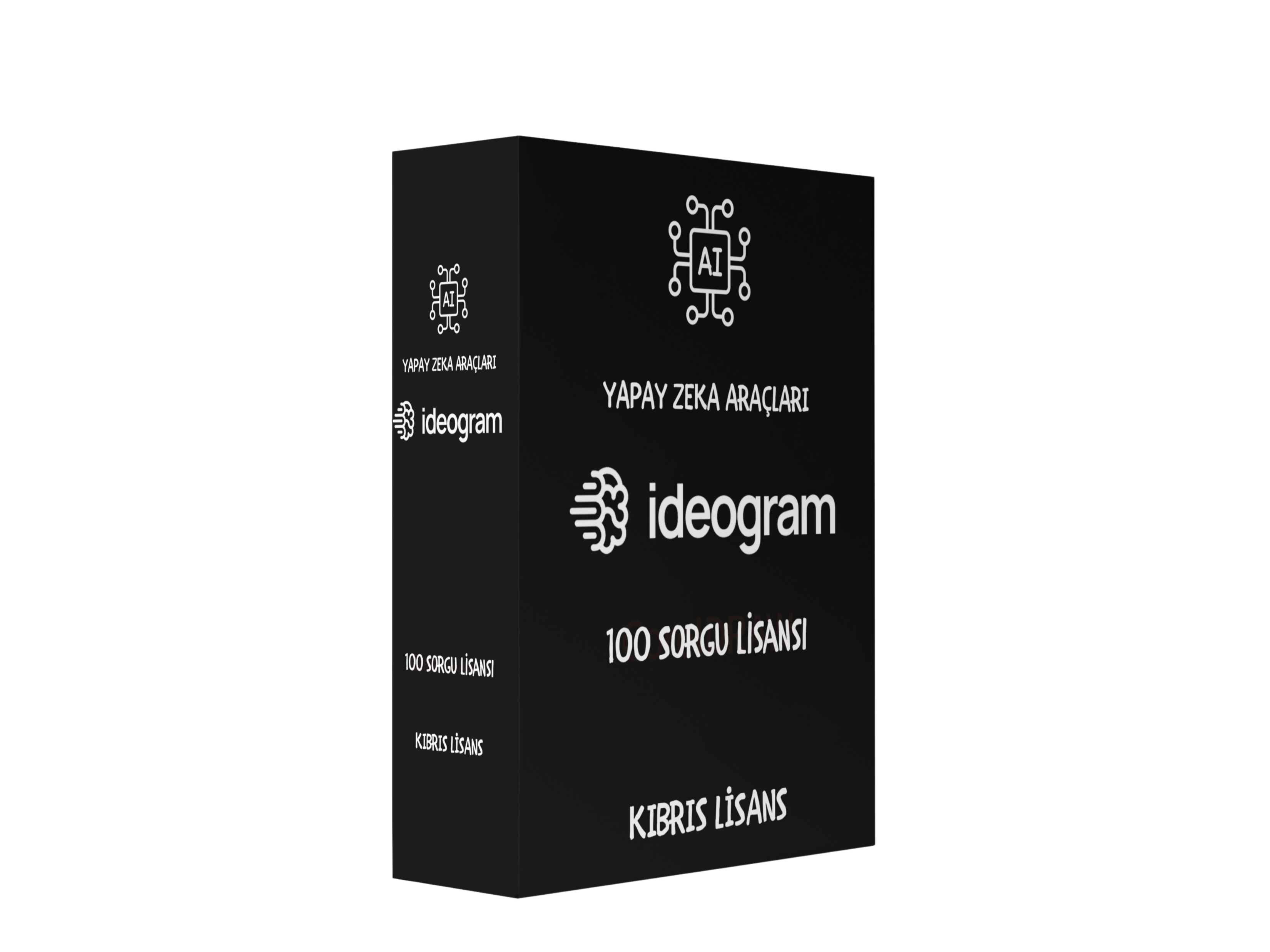 Ideogram 100 Sorgu Lisansı