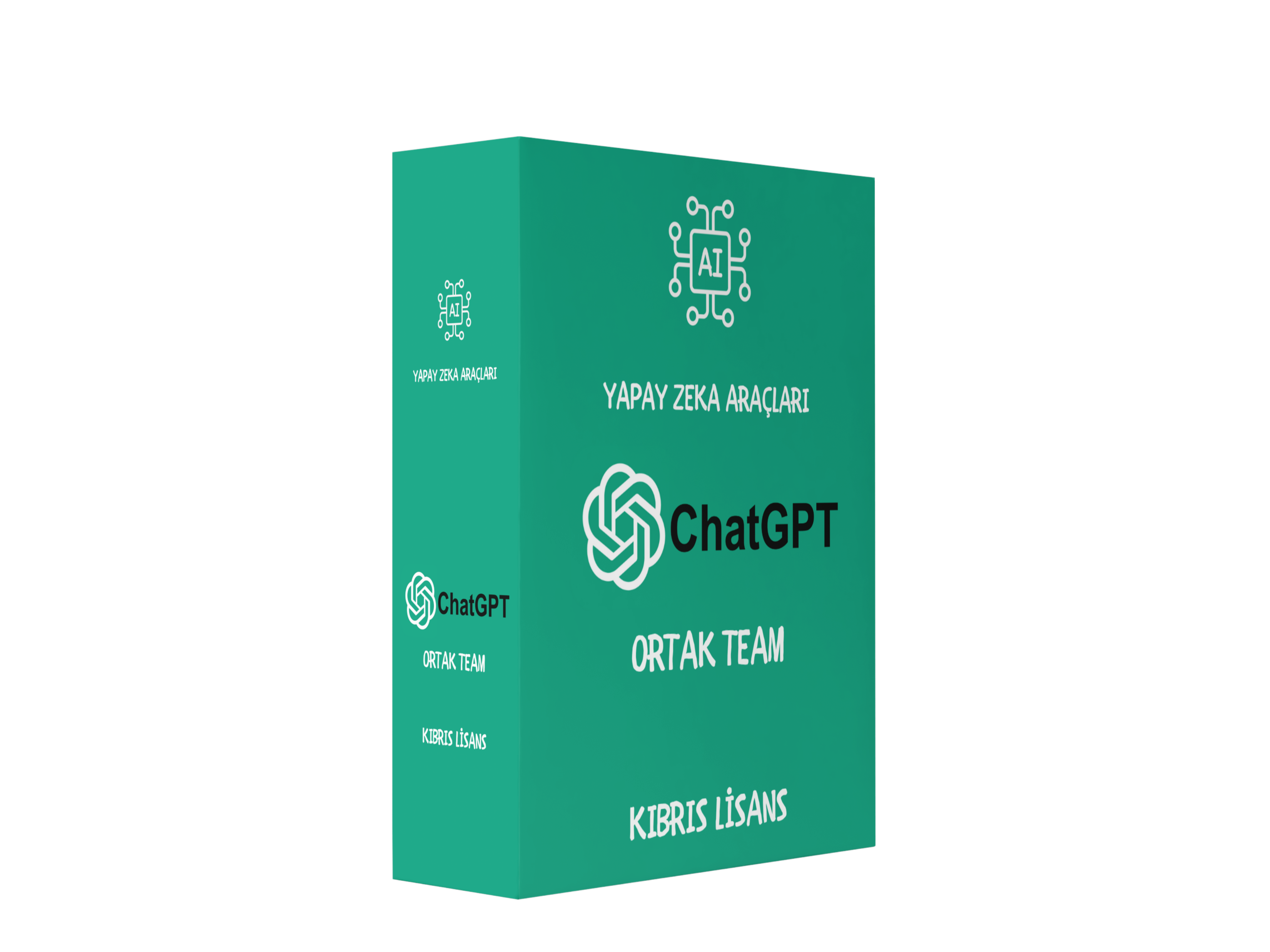 ChatGPT Ortak Team